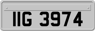 IIG3974