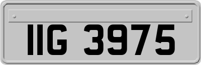 IIG3975