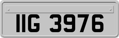 IIG3976