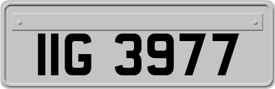 IIG3977