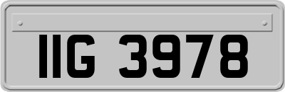 IIG3978