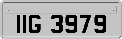 IIG3979