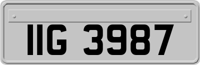IIG3987