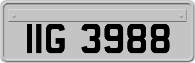 IIG3988