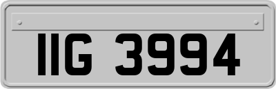 IIG3994