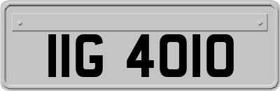 IIG4010