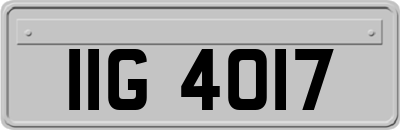 IIG4017