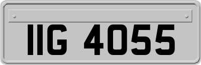 IIG4055