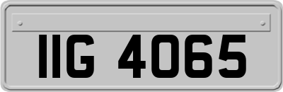 IIG4065