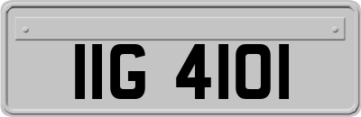 IIG4101