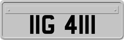 IIG4111