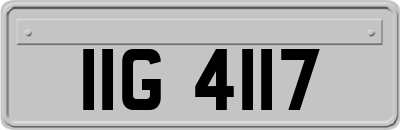 IIG4117