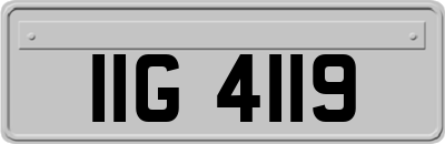 IIG4119
