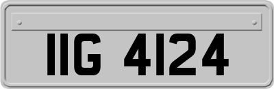 IIG4124