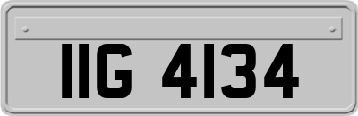 IIG4134