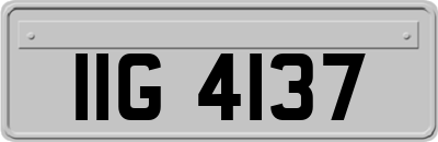 IIG4137