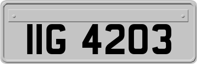 IIG4203