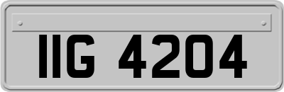 IIG4204