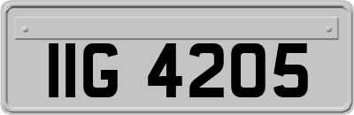 IIG4205