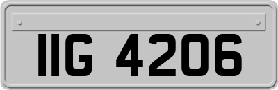 IIG4206
