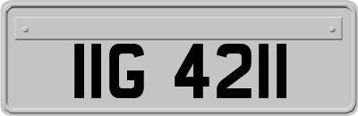 IIG4211