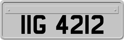 IIG4212