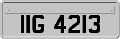 IIG4213