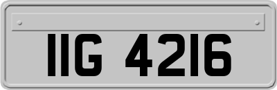 IIG4216