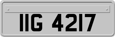 IIG4217