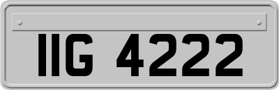 IIG4222