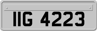 IIG4223