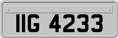 IIG4233