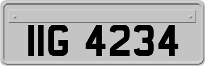 IIG4234