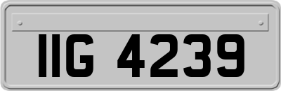 IIG4239