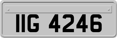 IIG4246