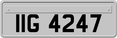 IIG4247