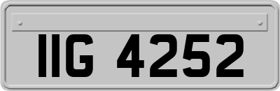 IIG4252