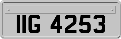 IIG4253