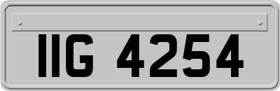 IIG4254