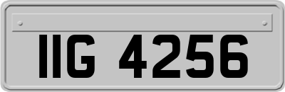 IIG4256