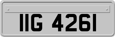 IIG4261