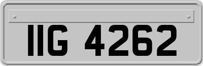 IIG4262