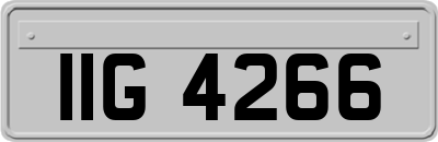 IIG4266