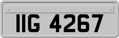 IIG4267