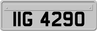 IIG4290