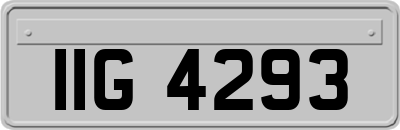 IIG4293