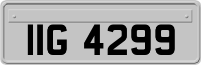 IIG4299