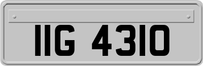 IIG4310