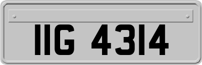 IIG4314