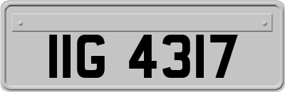 IIG4317